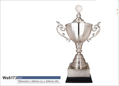 ถ้วยรางวัลซิลเวอร์ รหัส Ws6173