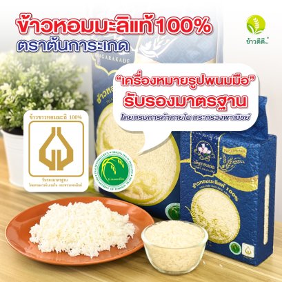 "ต้นการะเกด" ข้าวหอมมะลิต้นฤดู 1 ปีมีครั้งเดียว