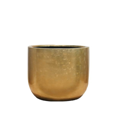 EXCLUSIVE 60X58.5 GOLD GLOSSY