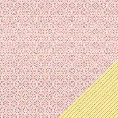  Lawn Fawn 12 x 12 Paper grapefruit fizz 