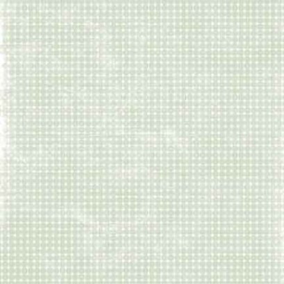 Melissa frances Brady Paper