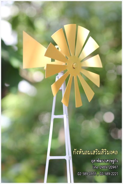 กังหันลมเสริมดวง