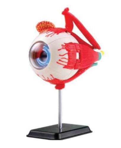 โมเดลตา