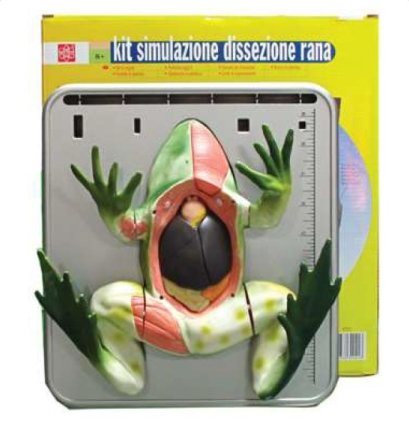 หุ่นจำลองกบ