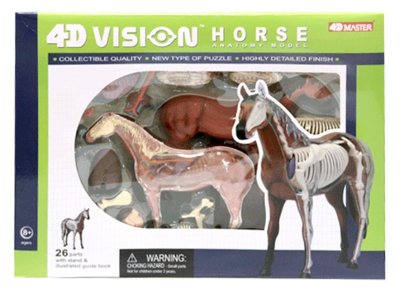 โมเดลม้า (4D Vision Horse)