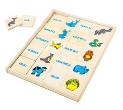 เรียนรู้คำศัพท์ สัตว์ 40 คำ