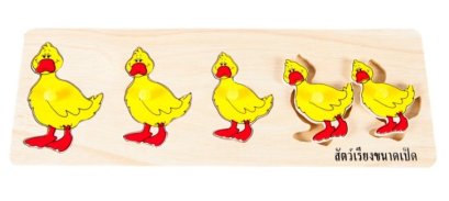 สัตว์เรียงขนาด เป็ด