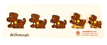 สัตว์เรียงขนาด สุนัข