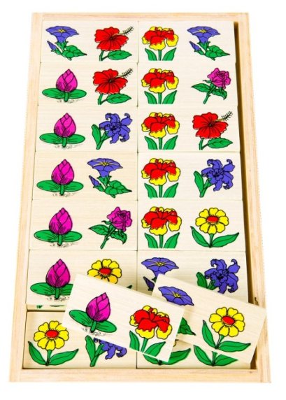 โดมิโนดอกไม้