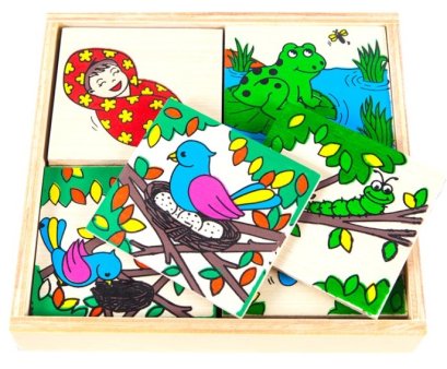 วงจรชีวิต คน กบ นก ผีเสื้อ