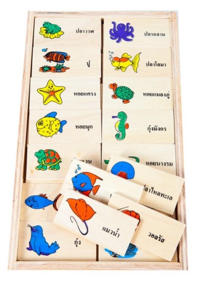 โดมิโนภาพกับคำอ่านภาษาไทย ชุดสัตว์น้ำ
