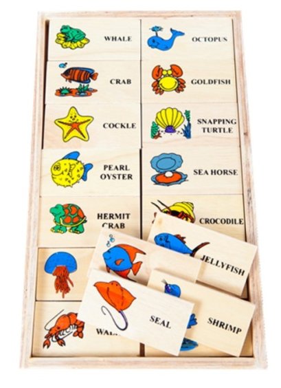 โดมิโนภาพกับคำอ่านภาษาอังกฤษ ชุดสัตว์น้ำ