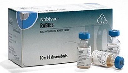 วัคซีนป้องกันโรคพิษสุนัขบ้า "โนบิแวค"