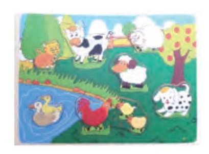 กระดานสัมผัสขน