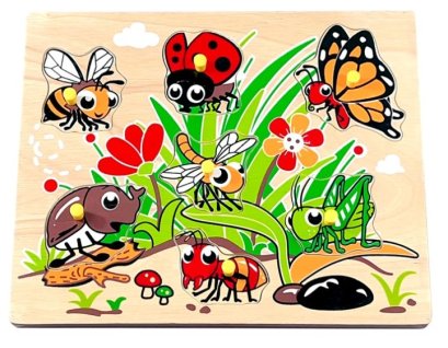 ภาพตัดต่อแมลง