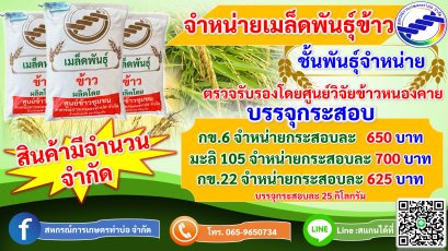 เมล็ดพันธุ์ข้าว