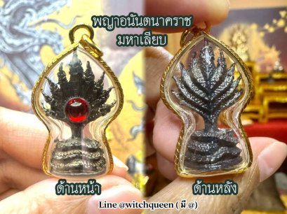 How to Worship Phaya Anantanakaraj