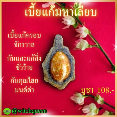 เบี้ยแก้สำนักมหาเลียบ