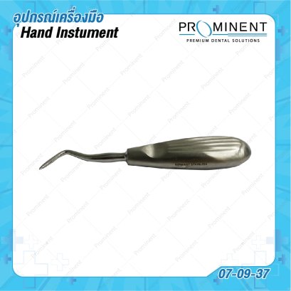 Root elevator (Fieht) Right