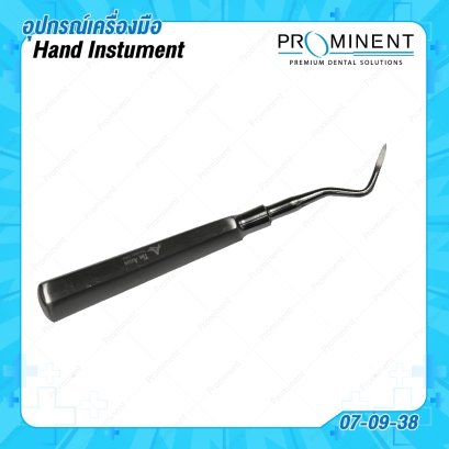 Root tip elevator (ซ้าย)