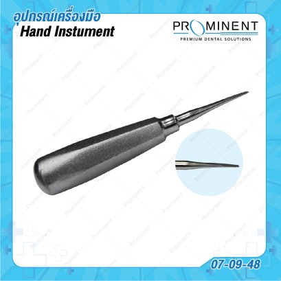 Bein 3.0mm. root elevators(Luxator) ตรง