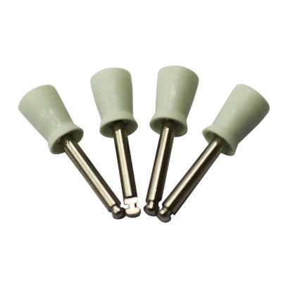 Prophy brush with handle#6