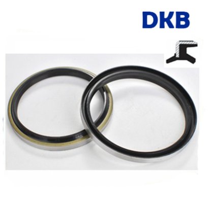 DKB ซีลกันฝุ่นขอบเหล็ก