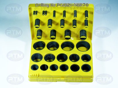 O-RING KIT; P.G