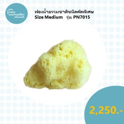 ฟองน้ำธรรมชาติชนิดคัดพิเศษ Size Medium