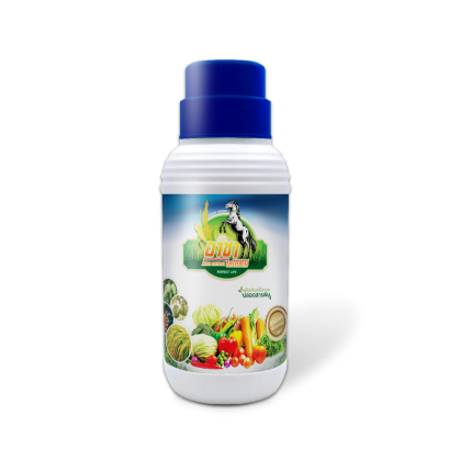 อาชา ไคโตซาน