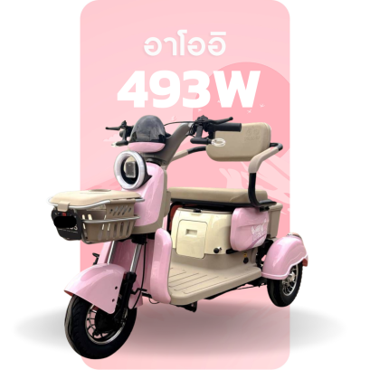 จักรยานไฟฟ้า รุ่น 493W (กันน้ำ 100%)