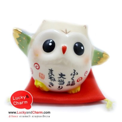 นกฮูกปีกเขียว การเรียนดี ประสบความสำเร็จในการศึกษา  5 CM