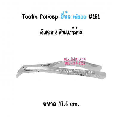 Tooth forcep คีมถอนฟันแท้ล่าง  #151 ขนาด 17.5 cm. ยี่ห้อ NISCO