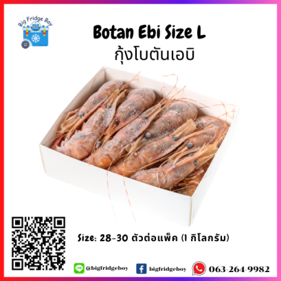 กุ้งโบตันเอบิ (Botan Ebi) ไซส์ L (แพ๊คขนาด 1 กิโลกรัม)