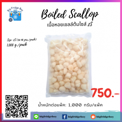 Boiled Scallop (SIZE 2S)