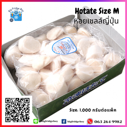 เนื้อหอยเชลล์ซาชิมิ ไซส์ M (Hotate) (1  กิโลกรัม)