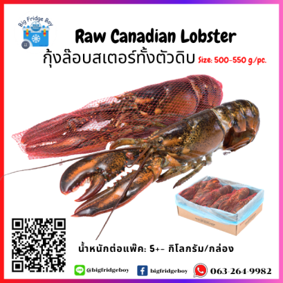 กุ้งล๊อบสเตอร์ทั้งตัวดิบ (500-550G/PC) (Lobster)