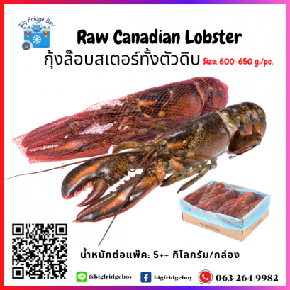 ロブスター Lobster (600-650G/PC)