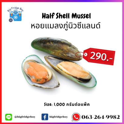 ハーフシェル ニュージーランド ムール貝 Half Shell New Zealand Mussel (Size M)
