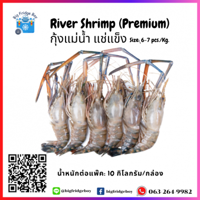 กุ้งแม่น้ำทั้งตัว (River Shrimp) 6-7 ตัวต่อกิโลกรัม