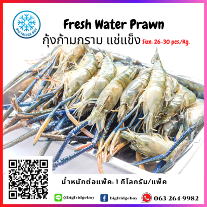 淡水虾 Fresh Water Prawn (26-30 PCS/KG) (31-40 G./PC) (NW.90%)