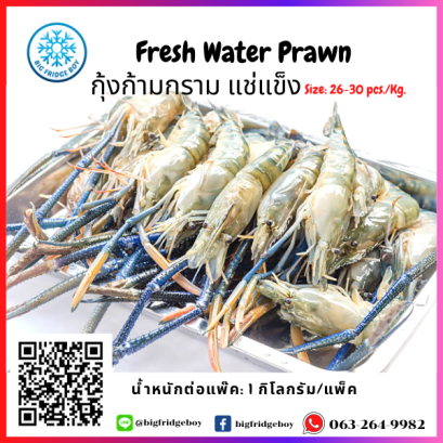 กุ้งก้ามกรามทั้งตัว ไซด์26-30 PCS/KG 31-40 G./PC NW.90% Fresh Water Prawn