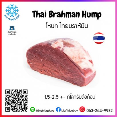 โหนก ไทยบราห์มัน (Thai Brahman Hump)