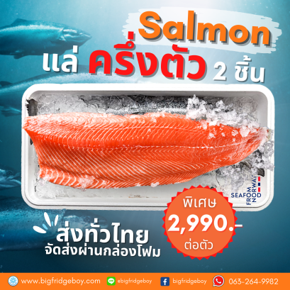 Fresh Salmon Fillet