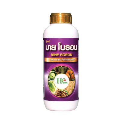 มาย โบรอน