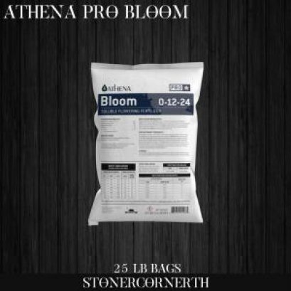ATHENA PRO - BLOOM