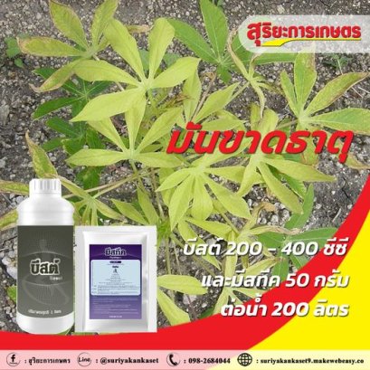 มันขาดธาตุ มันใบเหลือง ไม่ใช่ปัญหา 