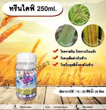 ทรีนไดฟ์ 250ml.