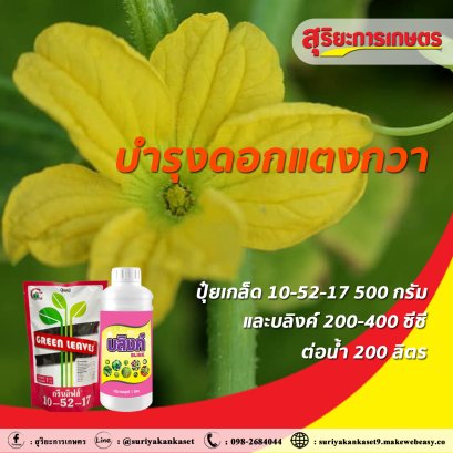 บำรุงดอกแตงกวา ให้สมบูรณ์