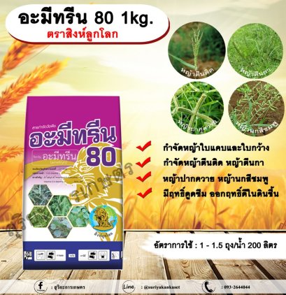 อะมีทรีน 80 1kg.